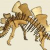 Stegosaurus